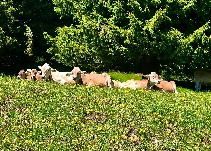 Haus Allod 208 Apartamento Lenzerheide